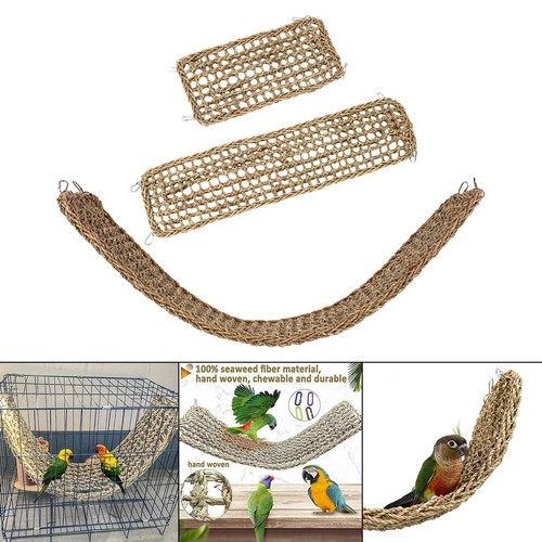 Papagei kletterseil leiter - papagei,