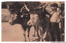 CAR-AEQP12-0580-64 - Basque