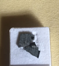 NWA 7891 Meteorite