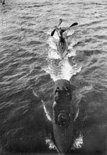 La Rapiere IV hydroplane to