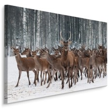 CANVAS Leinwand Bilder XXL