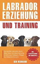 Labrador Erziehung und