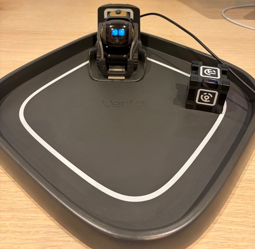 Anki sprachgesteuerter vektor - anki,
