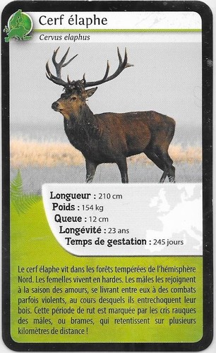 Bioviva karte hirsch elaph - bioviva,