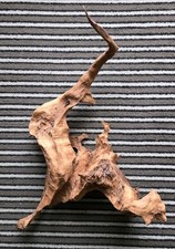 Aquarium Deko Wurzel 34cm x34