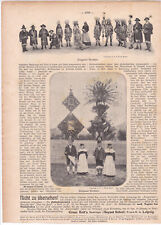 Bad Gastein , Pinzgauer -