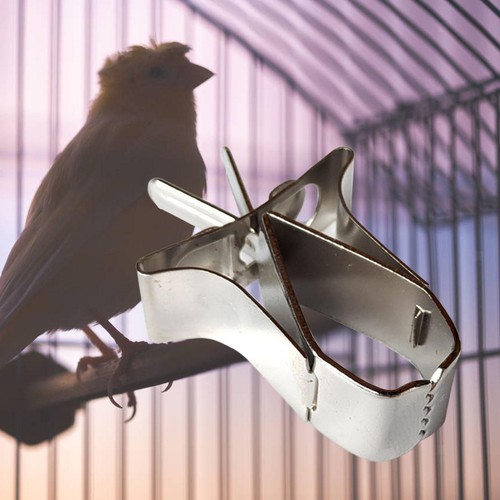 Vogelkäfig obst gemüse clip - gemüse,