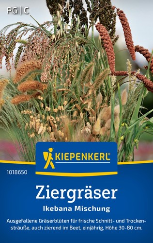 Ziergräser ikebana - ikebana,