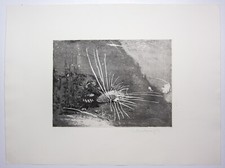 Wolfgang Werkmeister