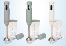 Skandi Stabmixer von Quigg