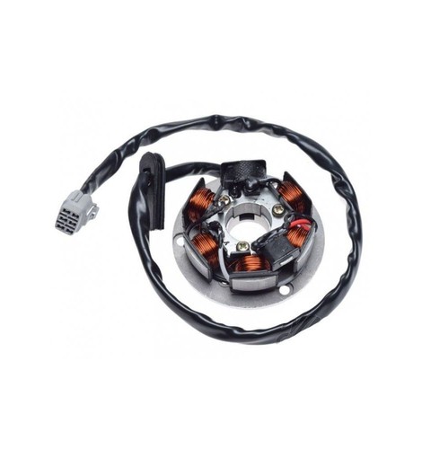 Stator zündeinheit spulen - zündeinheit, 6