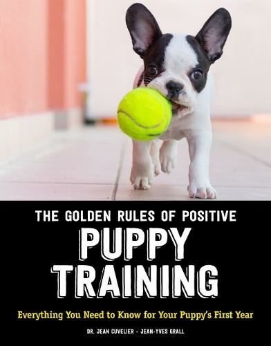 Golden rules positive - of,