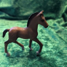 Schleich Oldenburger Fohlen