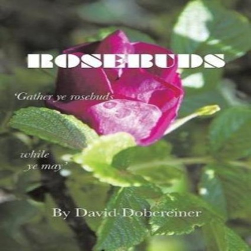 Rosebuds david dobereiner - rosebuds,