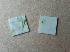 zwei Glasbilder 20x20 cm gebraucht