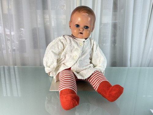 Schildkrötpuppe sammler - schildkrötpuppe,