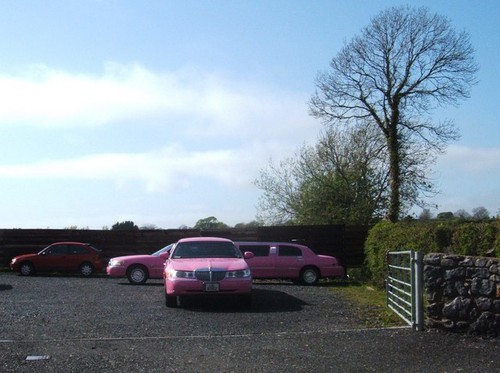 Foto 6x4 rosa - , stretchlimousine