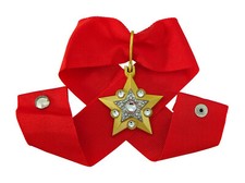 Marschall der Sowjetunion