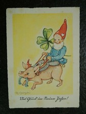 Alte AK , Zwerge auf Schwein 