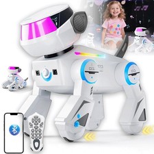 RC Roboter Hund Fernbedienung
