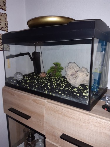 Juwel aquarium sammlung - juwel,