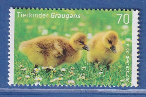 Bundesrepublik 2016 tierbabys - bundesrepublik,