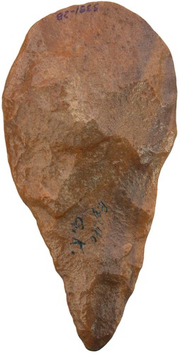 Paläolithikum seltener - paläolithikum,