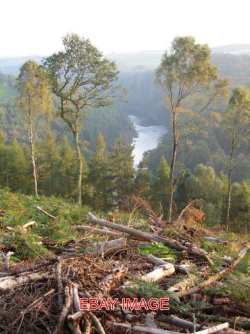 Foto coombs holz einige - holz,