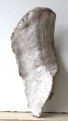 Treibholz schwemmholz - treibholz,