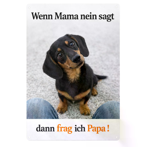 Dackel hund und mama - hund,