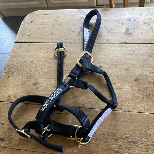 Monty roberts doppeltes - monty,