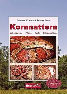 Kornnattern lebensweise - kornnattern:,