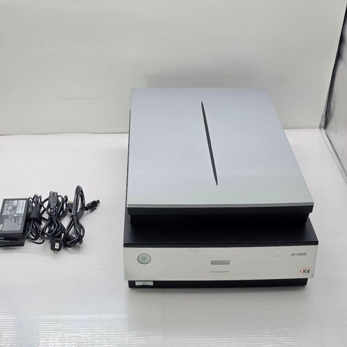 Epson x900 flachbettscanner - gt-x900,