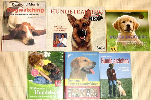 Bücher welpenerziehung - -,