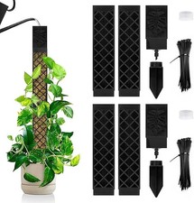 Moosstab für Monstera