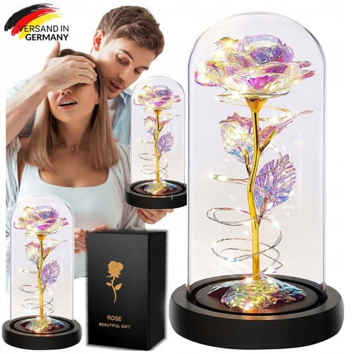 Led ewige rose - led, im