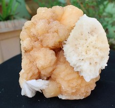 SOLECITFORMAT AUF STILBIT