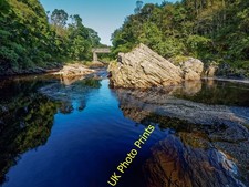 Foto 6x4 Poll Cr\u00c3\u00b2m