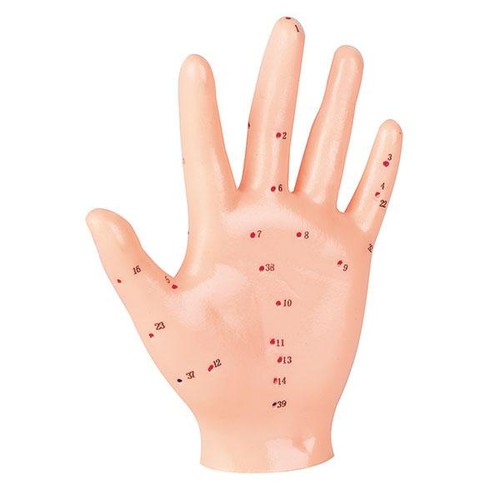 Akupunktur-Handmodell