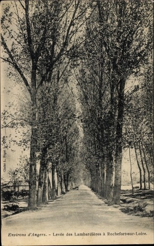 Rochefort sur loire maine - rochefort,
