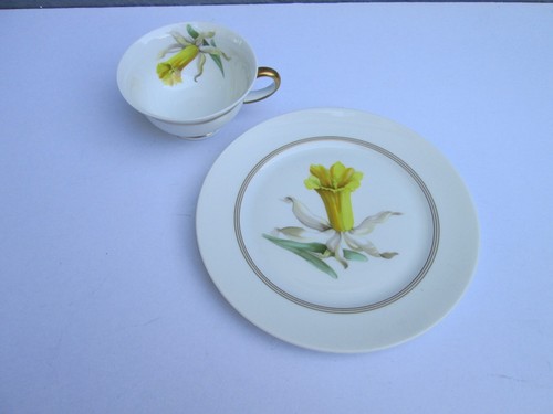 Rosenthal bavaria - rosenthal,
