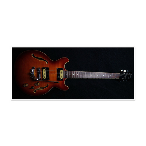 Dean sarasota semi hollow - dean,