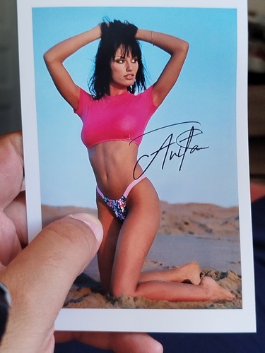 Schauspielerin anita - -,
