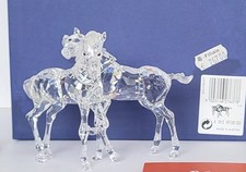 Swarovski Fohlen 627637 TOP ZUSTAND mit OVP (L1)