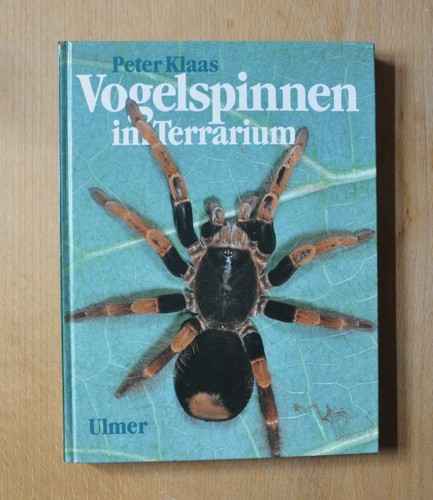 Peter klaas vogelspinnen im - vogelspinnen,