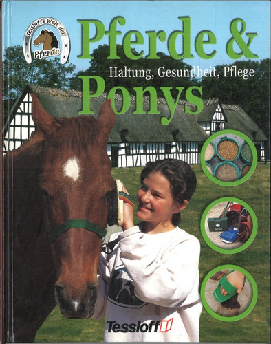 Pferde ponys haltung - pferde,