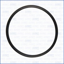 Dichtung Drosselklappenstutzen