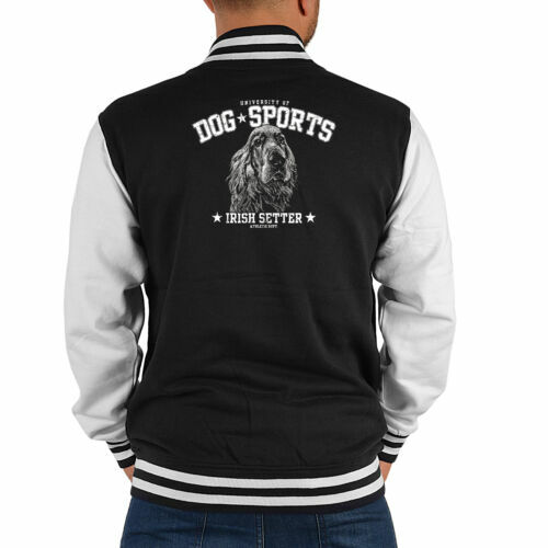 Herren college jacke irish - -,
