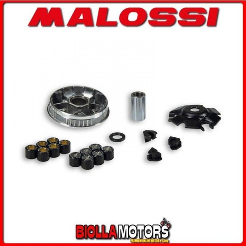 5111260 variomatik malossi - variomatik,