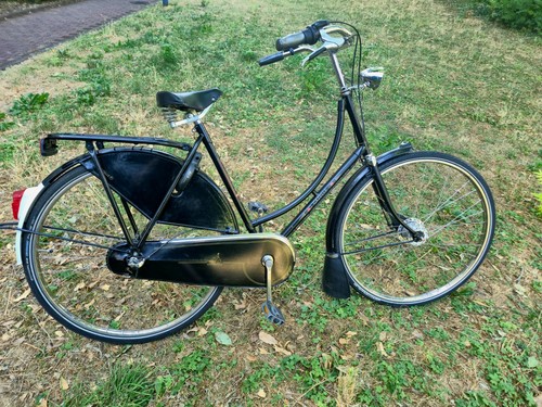 Gazelle tour populair damen - tour,